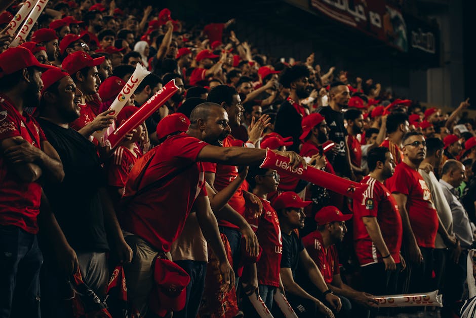 Did You Know These Surprising Facts About Football Fans?