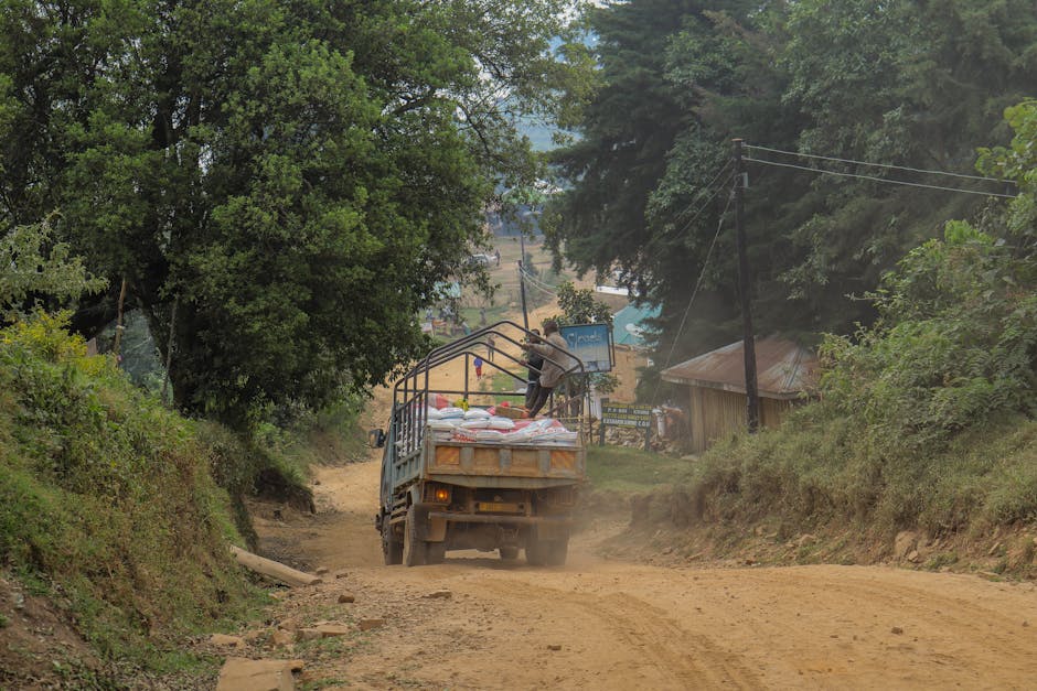 Did You Know These Quick Facts About Transportation?