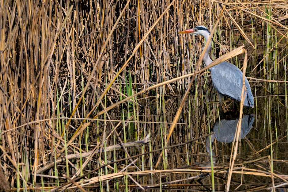Did You Know These Quick Facts About Animals?