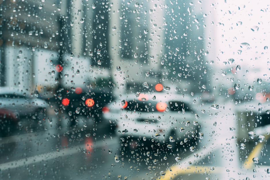Top 10 Quick Facts About Weather