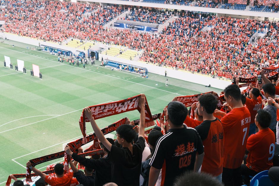 Did You Know These Stadiums Broke Attendance Records?
