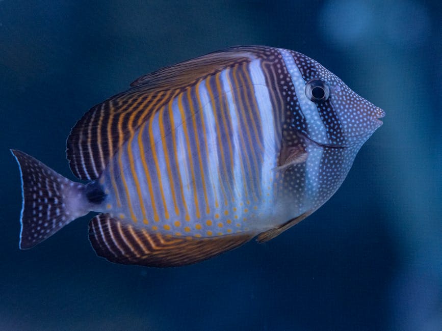 Did You Know These Quick Facts About Deep Sea Life?