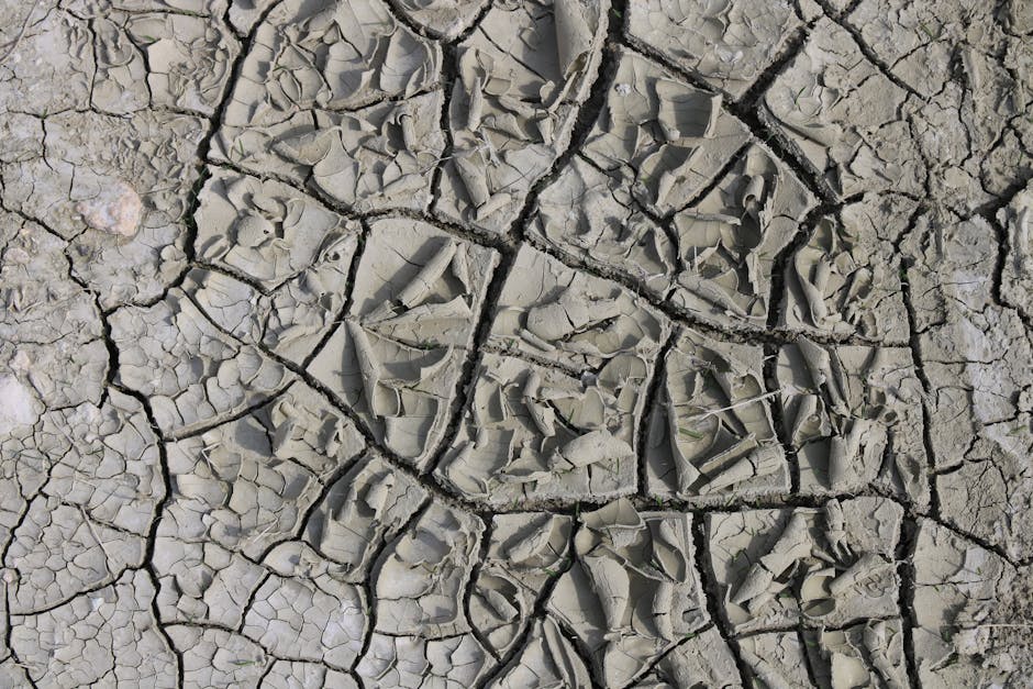 Top 10 Fast Facts About Climate Patterns