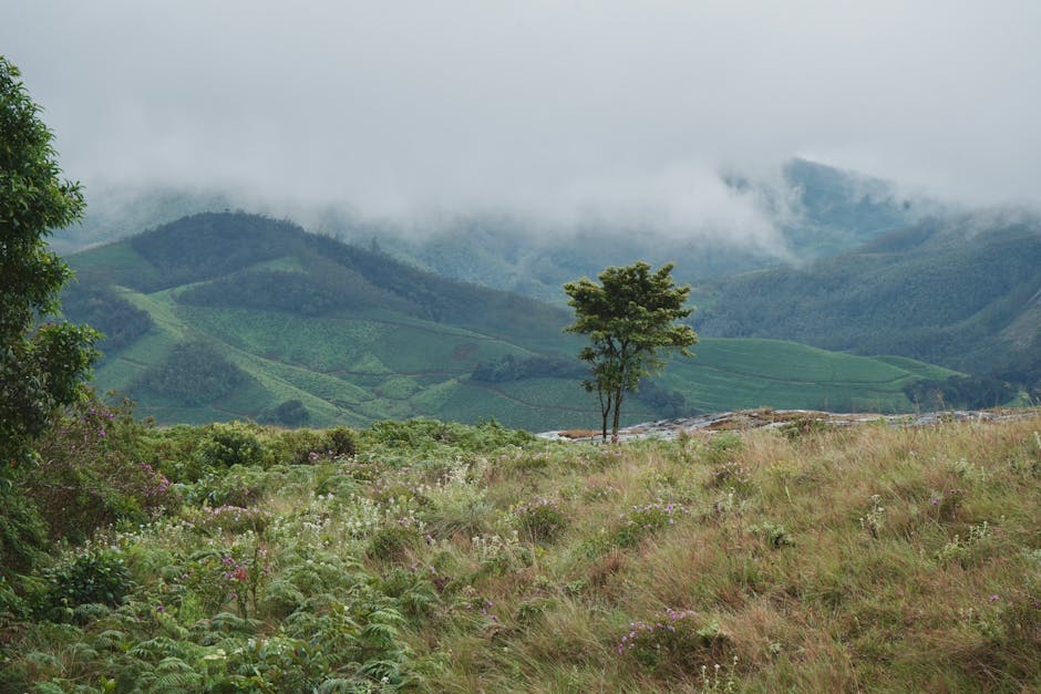 Did You Know These Fast Facts About Earth’s Climate?