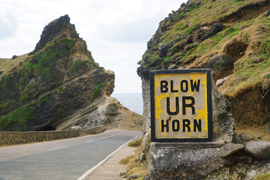 Did You Know These 10-Second Facts Can Blow Your Mind?