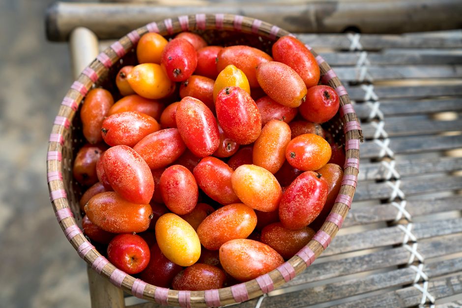 Top 10 Rarest Fruits You Will Never Find in a Supermarket