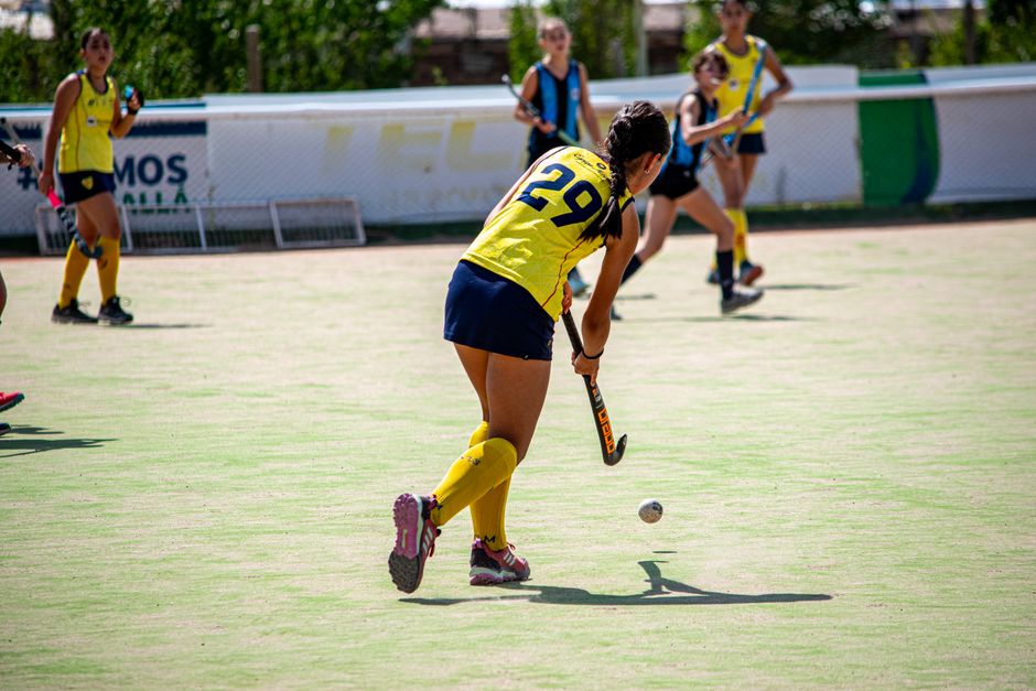 Did You Know These Sports Were Invented by College Students?