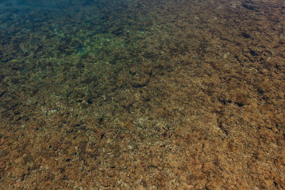 Top 10 Most Surprising Facts About the Ocean Floor