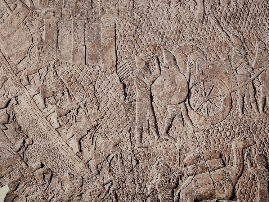 Did You Know These Historical Wars Lasted for Decades?