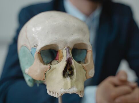 7 Surprising Facts About Human Bones You Never Learned — Quick Facts trivia by Trivia Daily