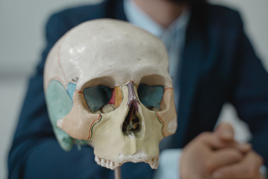 7 Surprising Facts About Human Bones You Never Learned