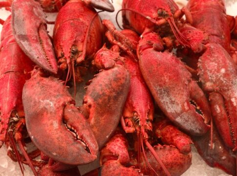 Why Lobsters Were Once Prison Food for Poor Inmates — Food & Drink trivia by Trivia Daily