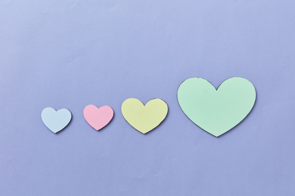 7 Surprising Facts About Blue Whale Hearts and Size