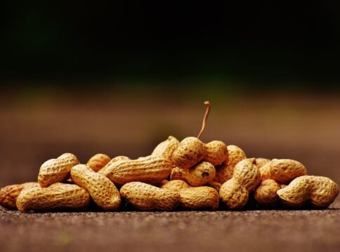 7 Surprising Facts About Peanuts Being Legumes Not Nuts — General trivia by Trivia Daily