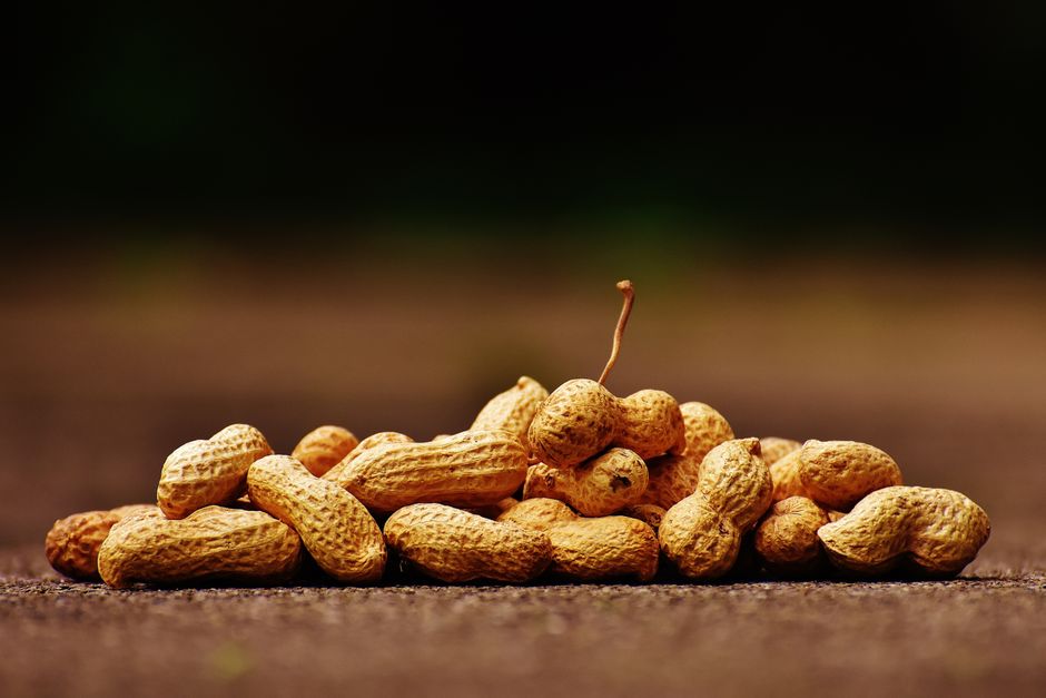 7 Surprising Facts About Peanuts Being Legumes Not Nuts