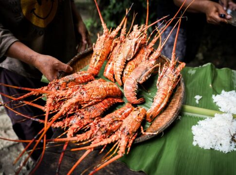 Why Lobsters Turn Red When Cooked: The Chemistry Explained — Food & Drink trivia by Trivia Daily