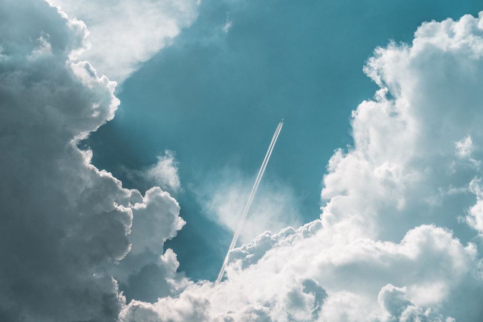 Why Airplane Food Tastes Bad: The Altitude Truth — Food & Drink trivia by TrivBits