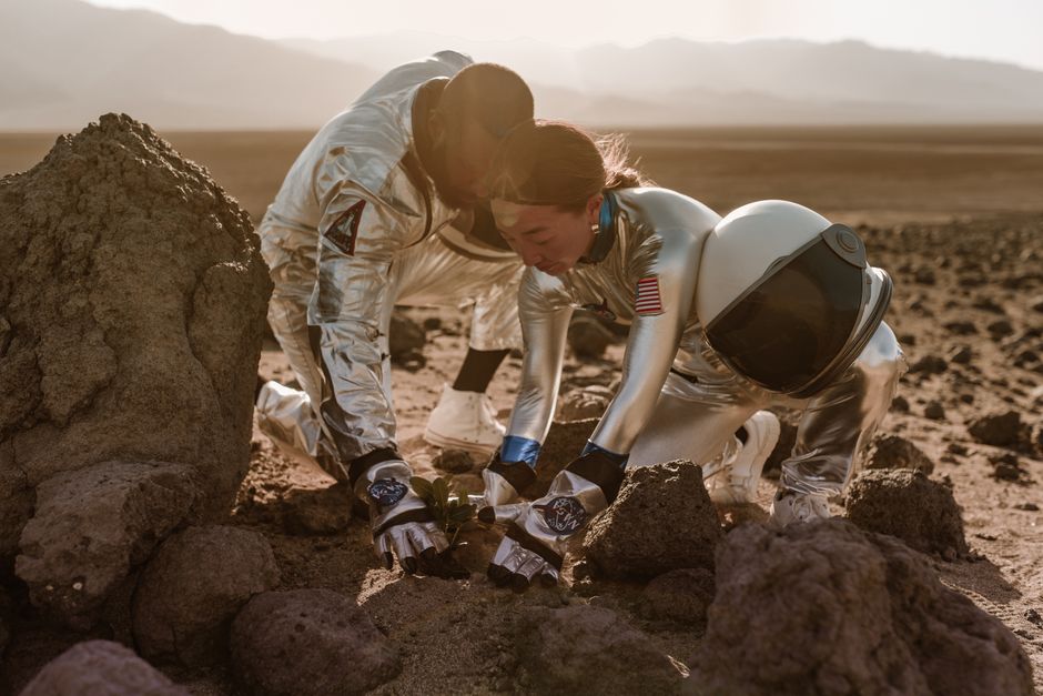 9 Strange Facts About Tardigrades Surviving Space — Quick Facts trivia by TrivBits