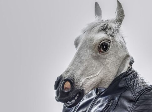 11 Bizarre Facts About Horses Being Unable to Vomit — General trivia by TrivBits
