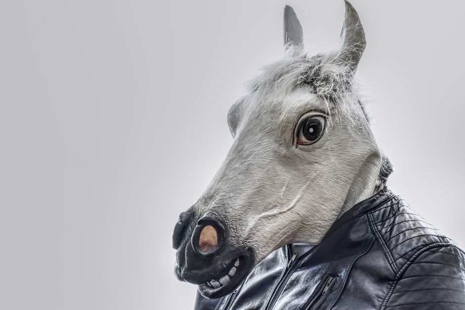 11 Bizarre Facts About Horses Being Unable to Vomit — General trivia by TrivBits