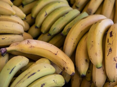 7 Strange Facts About Bananas Being Radioactive Fruit — General trivia by TrivBits