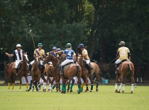 The Truth About Polo Being the Oldest Team Sport — Sports trivia by TrivBits
