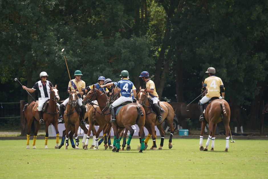 The Truth About Polo Being the Oldest Team Sport — Sports trivia by TrivBits