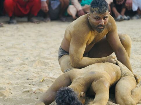 7 Strange Facts About Octopus Wrestling Competitions — Sports trivia by TrivBits