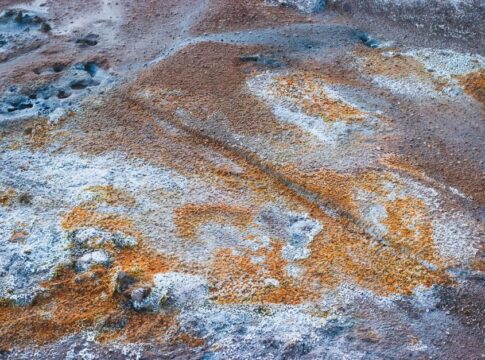 Oxygen Was Poisonous to Early Earth Life Forms — General trivia by TrivBits