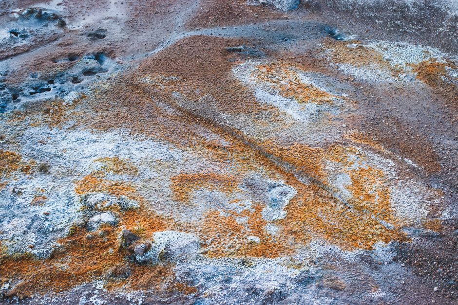 Oxygen Was Poisonous to Early Earth Life Forms — General trivia by TrivBits