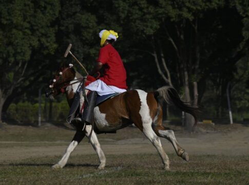 9 Surprising Facts About Polos Ancient Royal Origins — Sports trivia by TrivBits