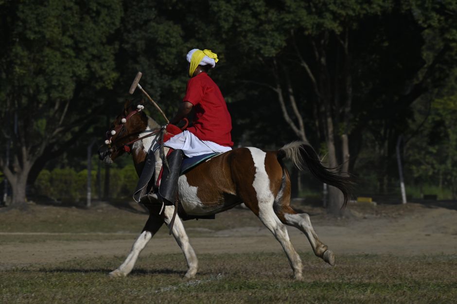 9 Surprising Facts About Polos Ancient Royal Origins — Sports trivia by TrivBits