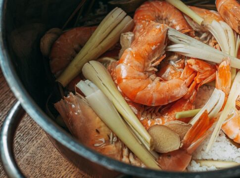 Mantis Shrimp Punch Boils Water: 11 Shocking Truths — Quick Facts trivia by TrivBits