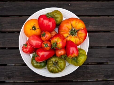 Tomatoes Were Thought Poisonous Until 1820s: Why? — Food & Drink trivia by TrivBits