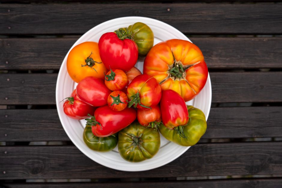 Tomatoes Were Thought Poisonous Until 1820s: Why? — Food & Drink trivia by TrivBits