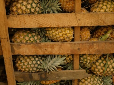 Pineapple Eats You Back: 9 Facts About Bromelain Enzyme — Food & Drink trivia by TrivBits
