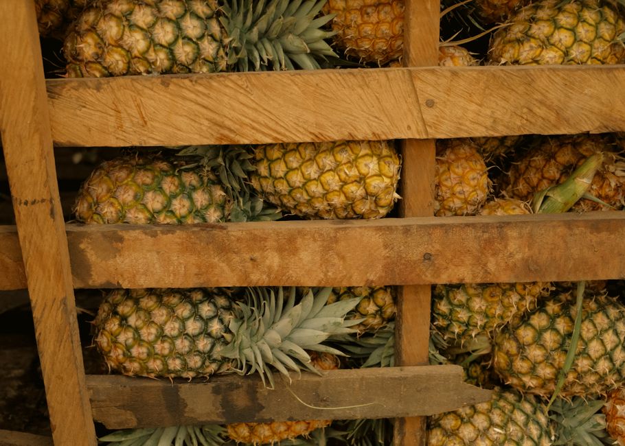 Pineapple Eats You Back: 9 Facts About Bromelain Enzyme — Food & Drink trivia by TrivBits