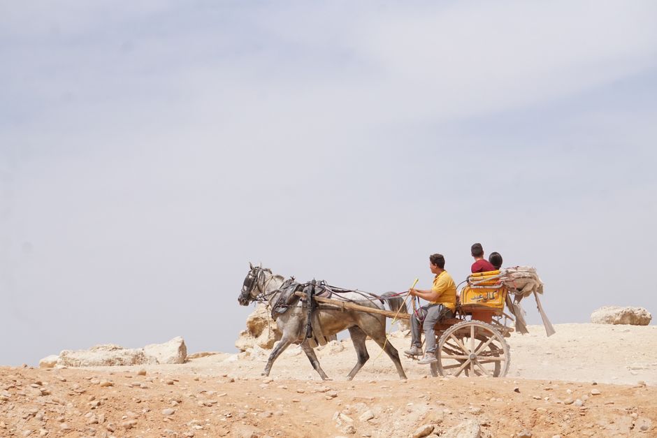 Why Fire Trucks Were Pulled by Horses Until 1920s — General trivia by TrivBits