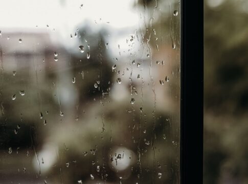 What Causes That Petrichor Smell After Rain: Chemistry — General trivia by TrivBits