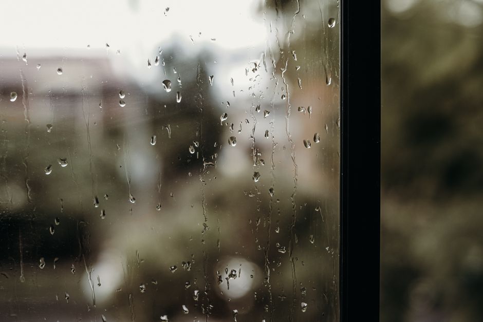 What Causes That Petrichor Smell After Rain: Chemistry — General trivia by TrivBits