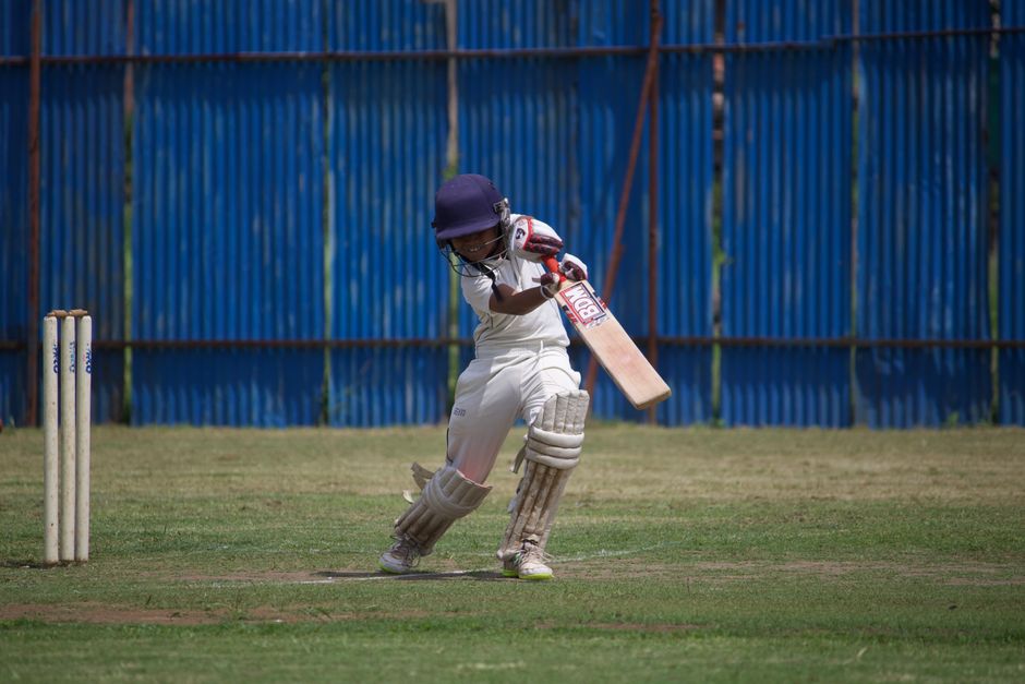 Cricket Bats Are Made From Willow Trees: Why?