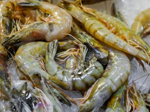 What Causes Shrimp Hearts in Their Heads: Anatomy Truth — General trivia by TrivBits