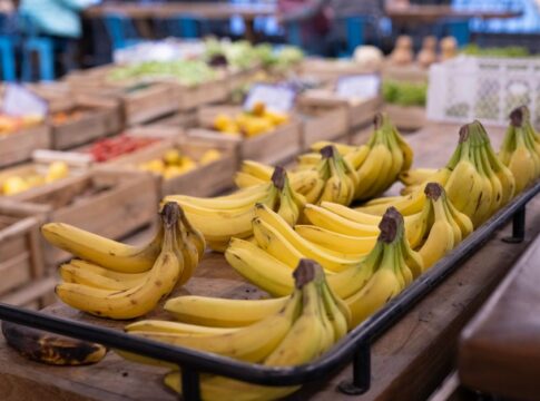 The Truth About Banana Flavoring: Extinct Variety Story — Food & Drink trivia by TrivBits